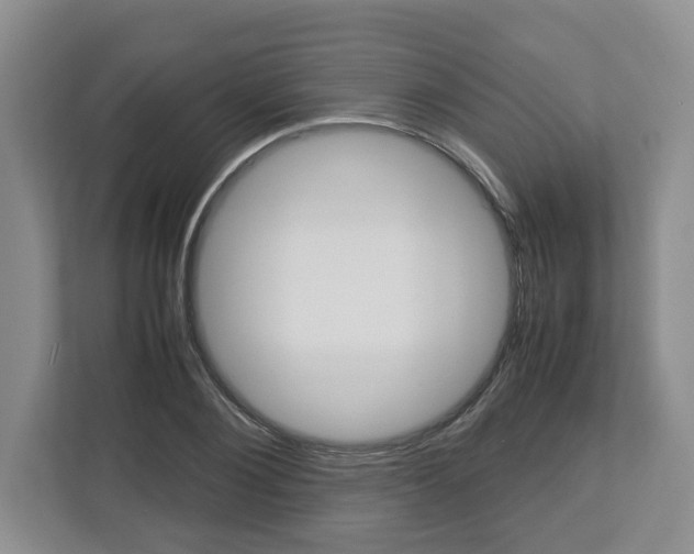 X0000113010884200908270937