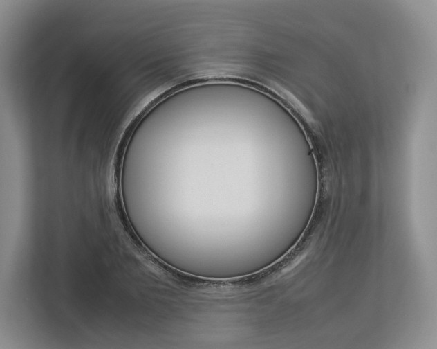X0000113010885200908270937