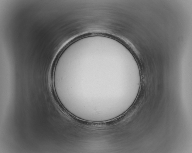 X0000113010887200908270937