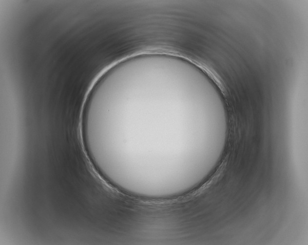 X0000113010888200908270937