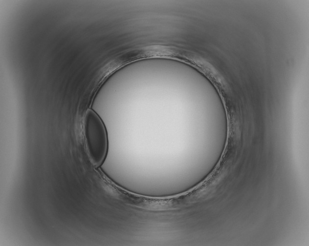 X0000113010889200908270937