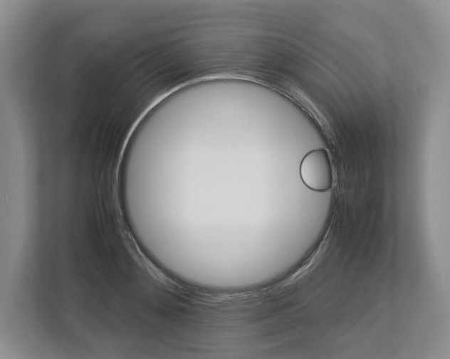 X0000113010892200908270937