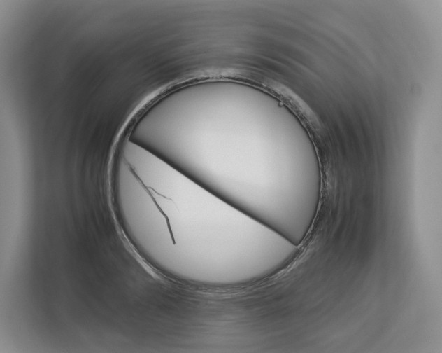 X0000113010894200908270937