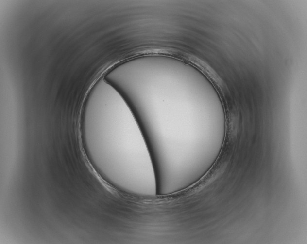 X0000113010898200908270937