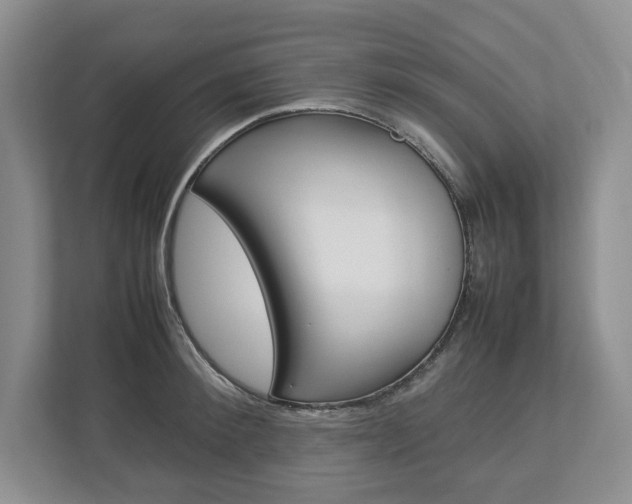 X0000113010900200908270937