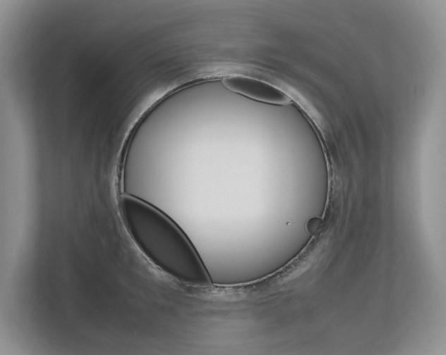 X0000113010901200908270937