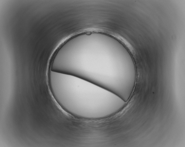 X0000113010902200908270937
