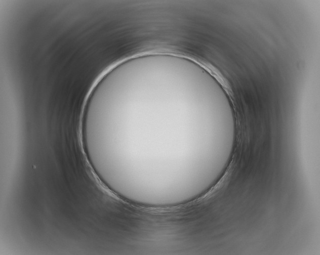 X0000113010904200908270937