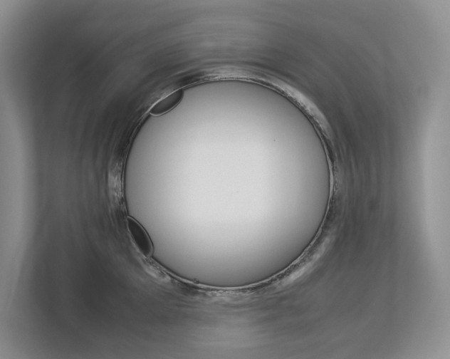 X0000113010905200908270937