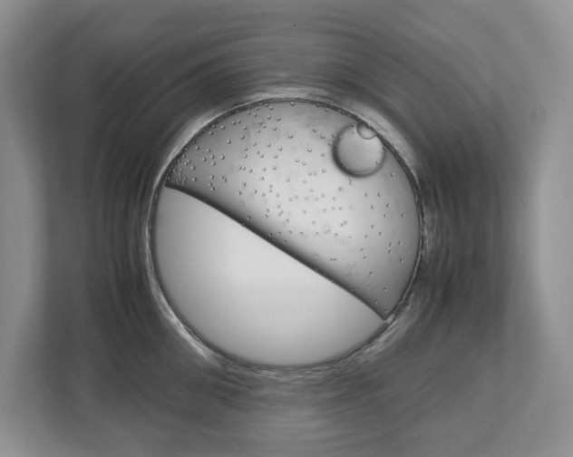 X0000113010906200908270937
