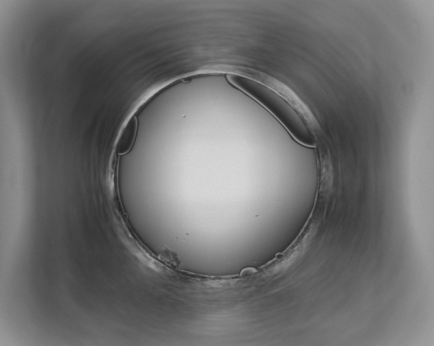 X0000113010908200908270937