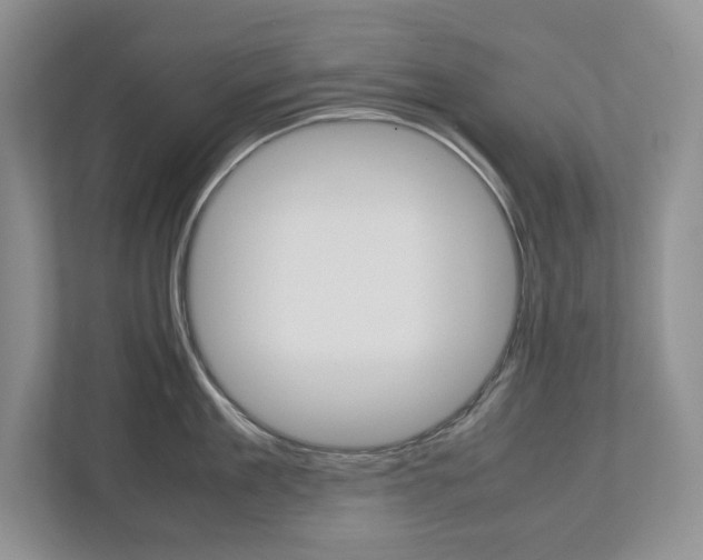 X0000113010909200908270937