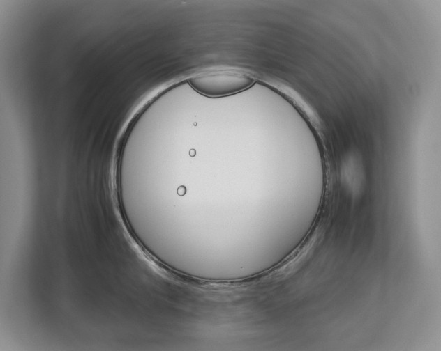 X0000113010910200908270937