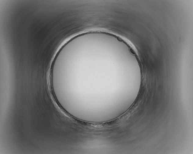 X0000113010911200908270937