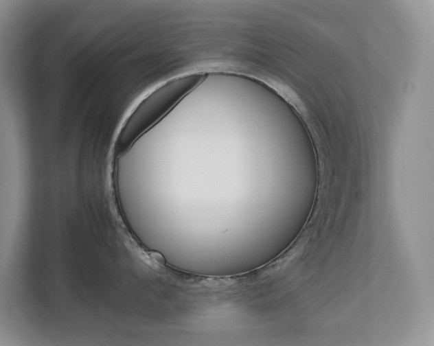 X0000113010912200908270937