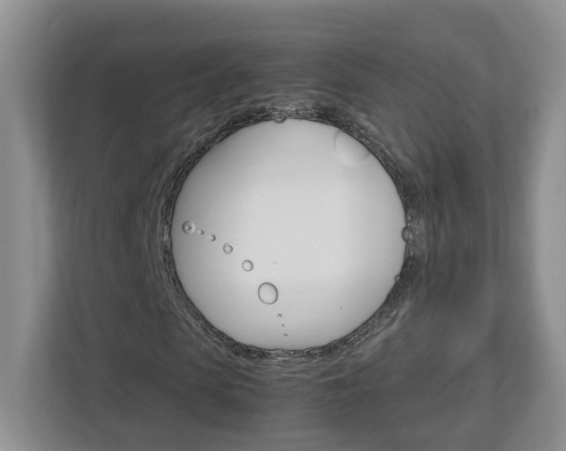 X0000113010913200908270936