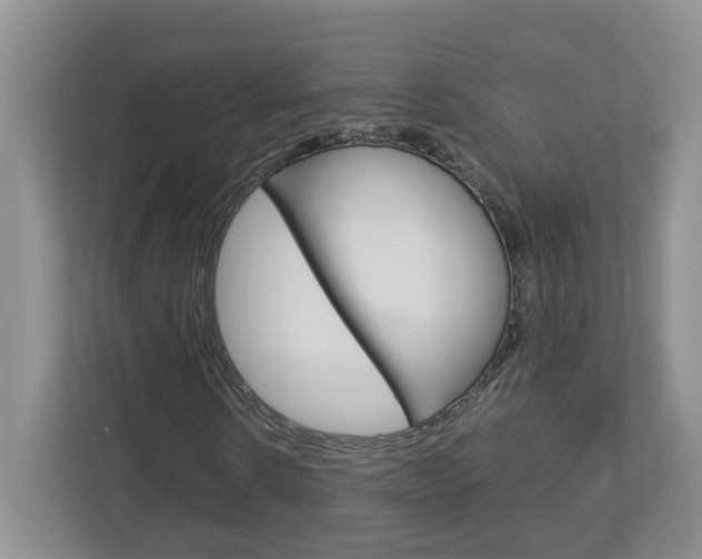 X0000113010914200908270936