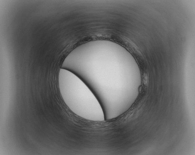 X0000113010915200908270936