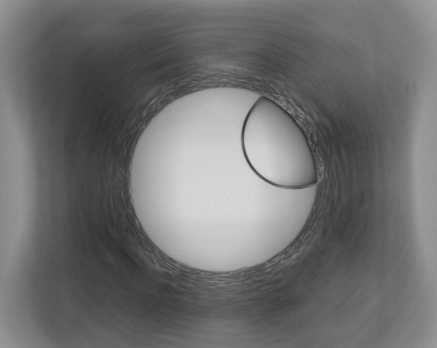 X0000113010916200908270936