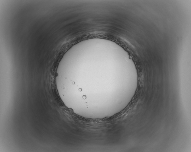 X0000113010917200908270936