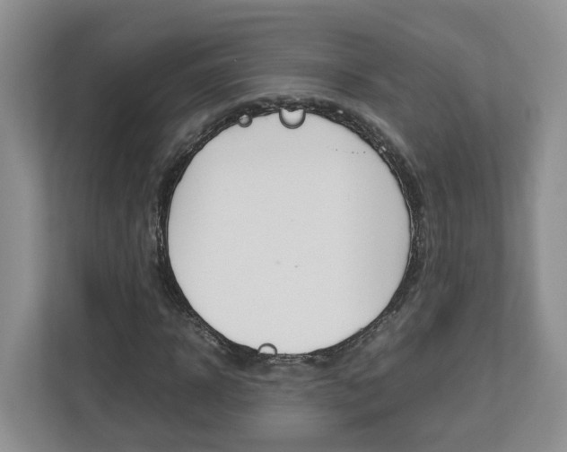 X0000113010918200908270936