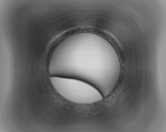 X0000113010919200908270936