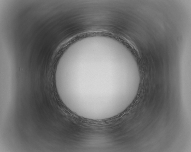 X0000113010920200908270936