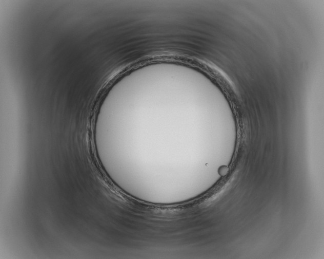 X0000113010921200908270936