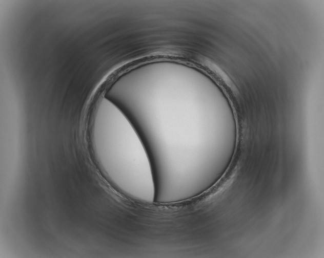 X0000113010923200908270936