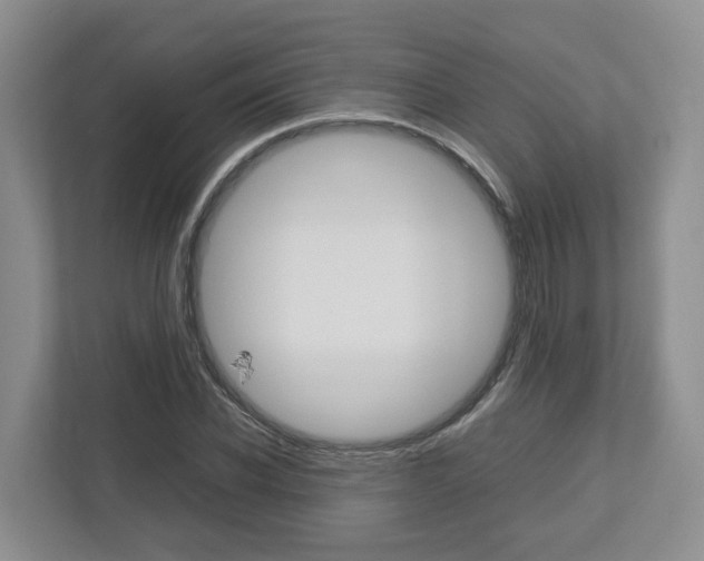 X0000113010926200908270937