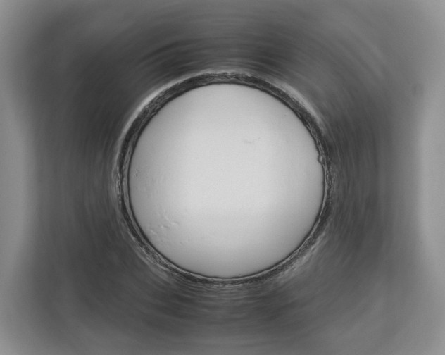 X0000113010927200908270937