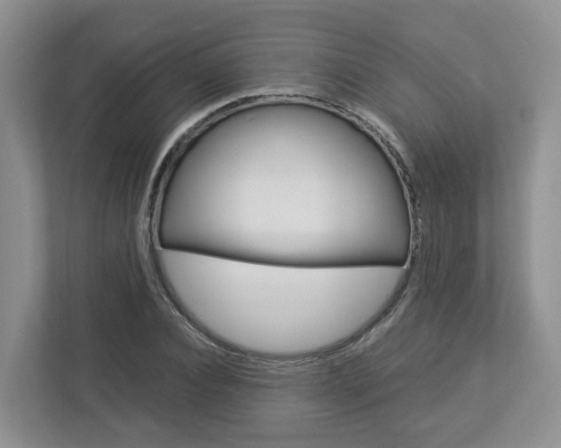 X0000113010928200908270937