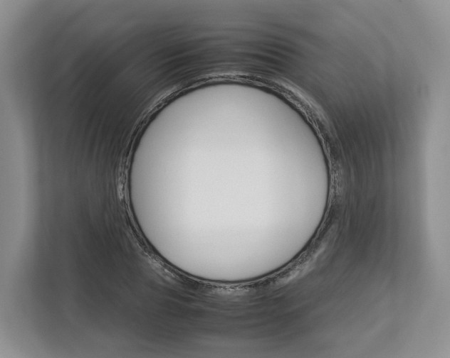 X0000113010929200908270937