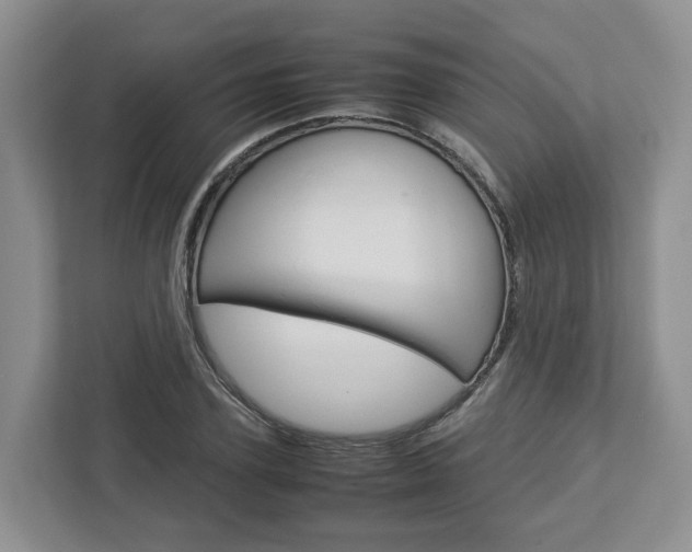 X0000113010931200908270937