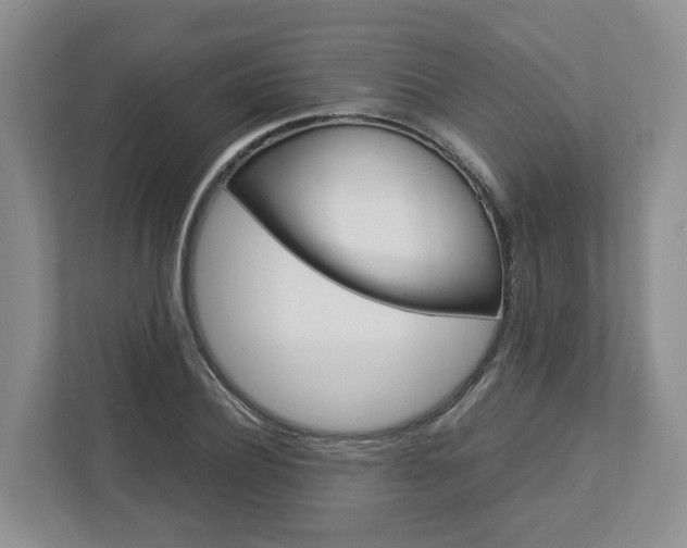 X0000113010932200908270937