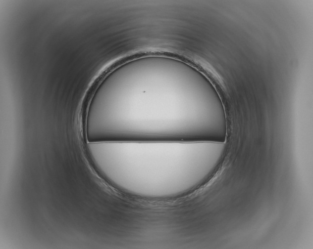 X0000113010934200908270937