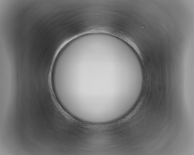 X0000113010936200908270937