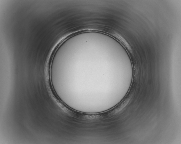 X0000113010939200908270937