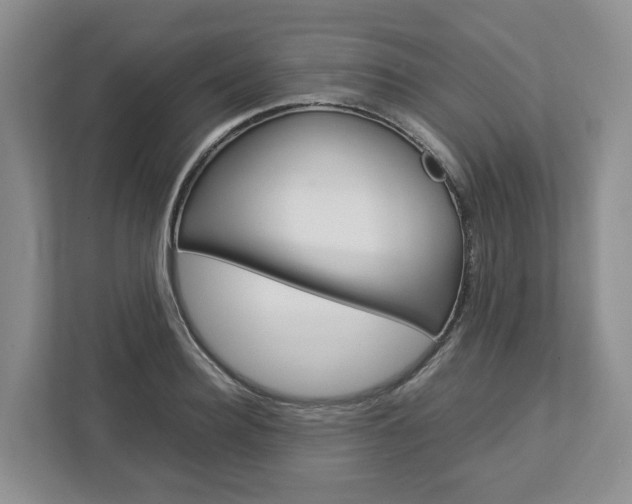 X0000113010940200908270937
