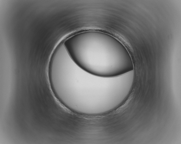 X0000113010942200908270937