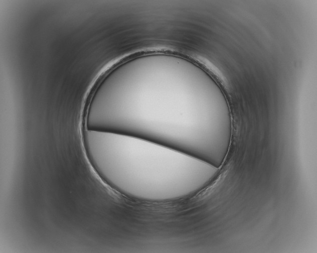 X0000113010943200908270937