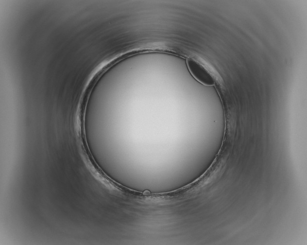 X0000113010944200908270937