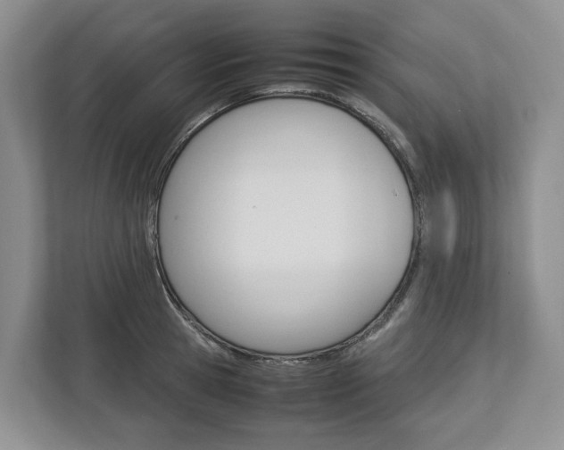 X0000113010945200908270937