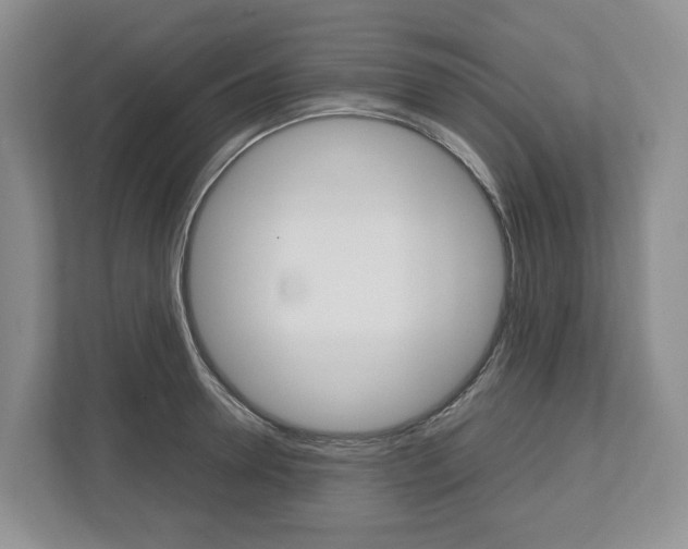 X0000113010946200908270937