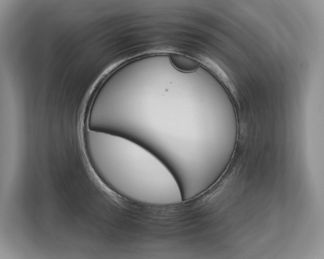 X0000113010947200908270937