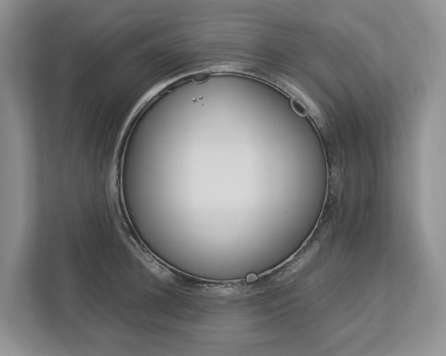 X0000113010948200908270937