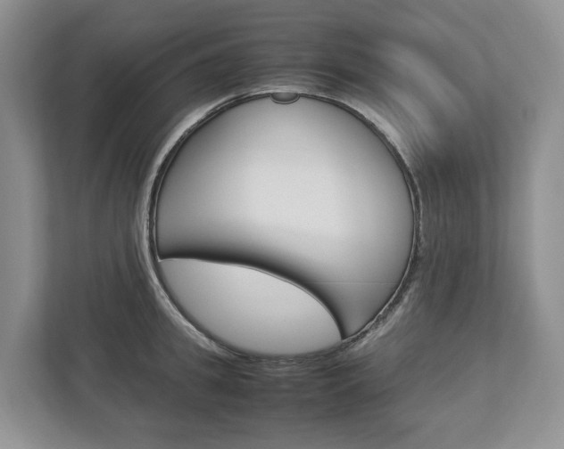 X0000113010949200908270937