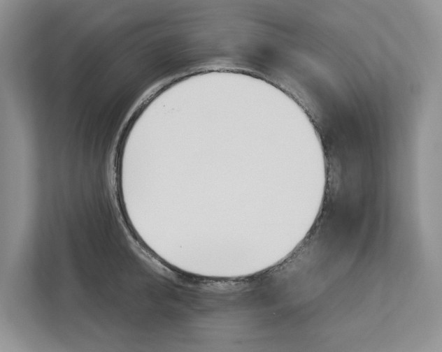 X0000113010950200908270937