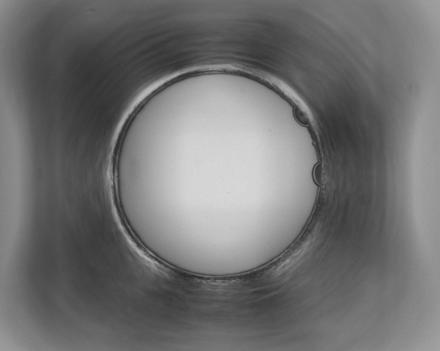 X0000113010951200908270937