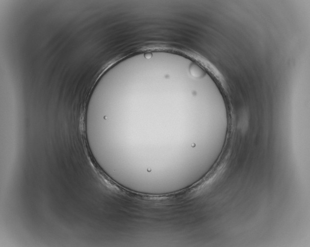 X0000113010953200908270937